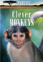 clevermonkeys