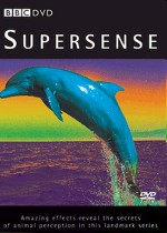 supersense